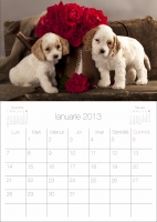 calendar cu caini 2013